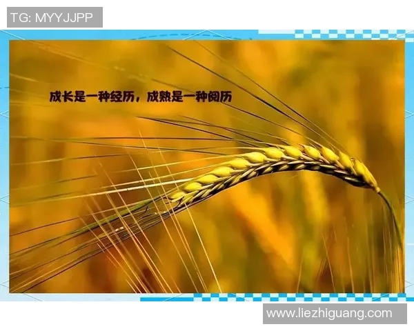 景菡一的成长之路与心灵探索：从平凡到卓越的蜕变旅程