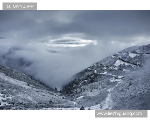 杨伟独家分享攀岩技巧与心得助你轻松征服高峰 杨伟独家分享攀岩技巧与心得助你轻松征服高峰