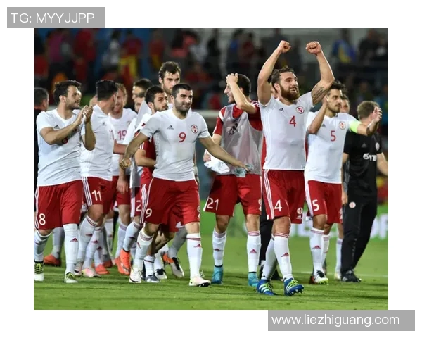 爱尔兰与格鲁吉亚足球赛分析与推荐汇总全方位解读 爱尔兰与格鲁吉亚足球赛分析与推荐汇总全方位解读