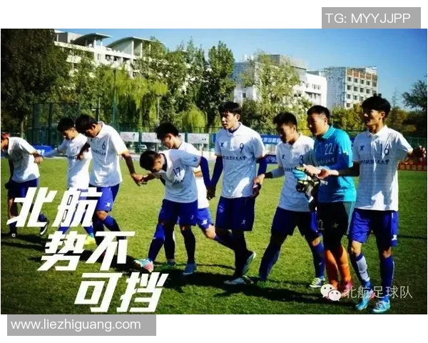 深圳足球队的崛起与荣耀：探索球队背后的力量与未来发展之路