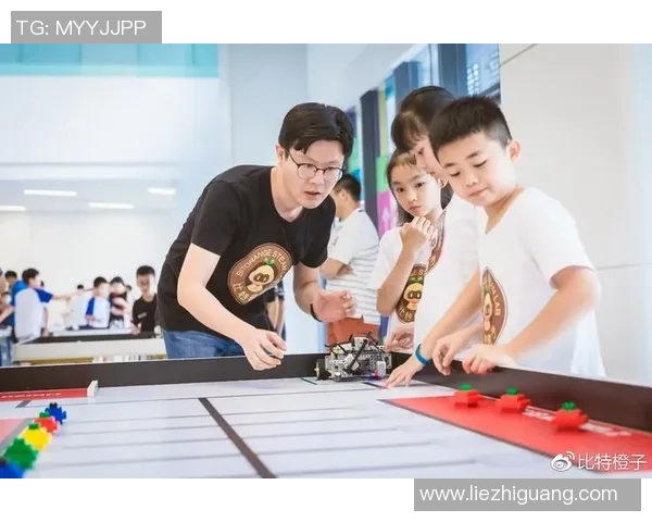 成都极限运动队心理素质分析及其对竞技表现的影响研究MBA 成都极限运动队心理素质分析及其对竞技表现的影响研究MBA